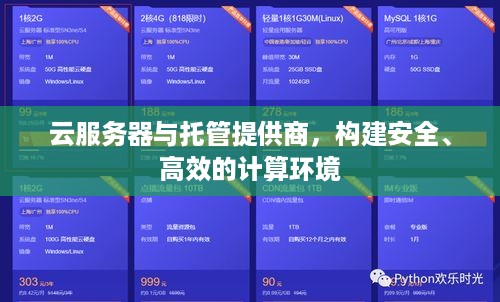 云服务器与托管提供商，构建安全、高效的计算环境