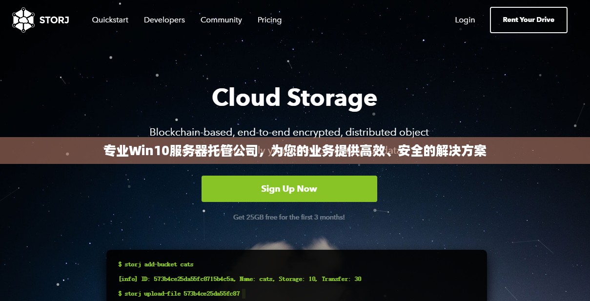 专业Win10服务器托管公司，为您的业务提供高效、安全的解决方案