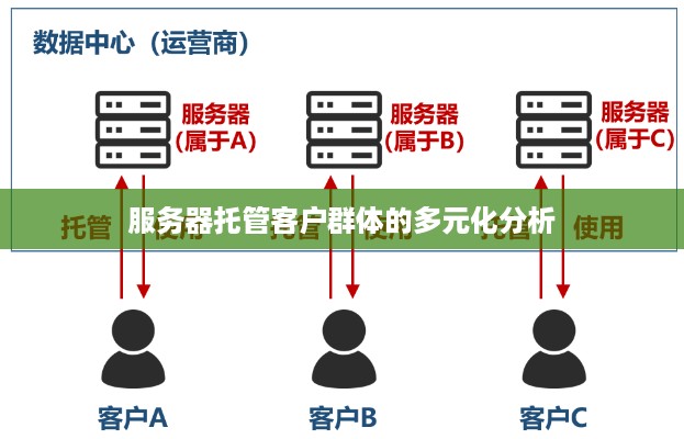 服务器托管客户群体的多元化分析