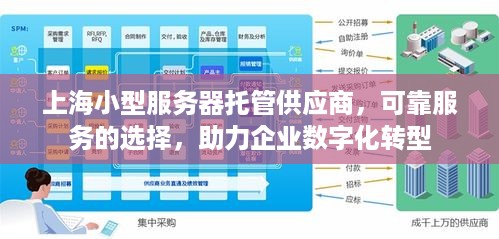 上海小型服务器托管供应商，可靠服务的选择，助力企业数字化转型