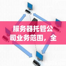 服务器托管公司业务范围，全方位满足企业IT需求