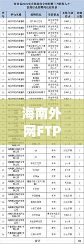 海南外网FTP服务器托管云主机，开启高效网络传输新篇章