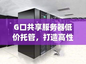 G口共享服务器低价托管，打造高性价比的网络解决方案