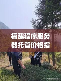 福建程序服务器托管价格指南，如何选择合适的托管服务提供商