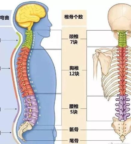 弹性Web服务器托管稳定性，确保您的网站始终在线