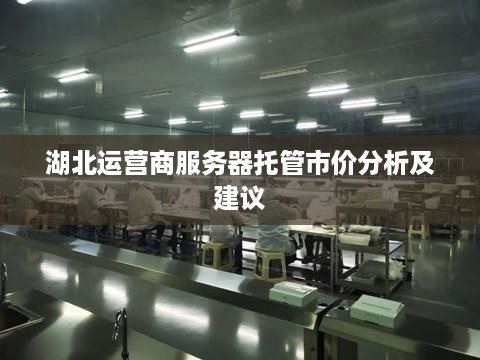 湖北运营商服务器托管市价分析及建议