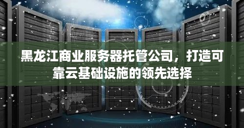 黑龙江商业服务器托管公司，打造可靠云基础设施的领先选择