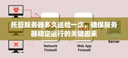 托管服务器多久巡检一次，确保服务器稳定运行的关键因素