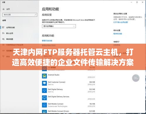 天津内网FTP服务器托管云主机，打造高效便捷的企业文件传输解决方案