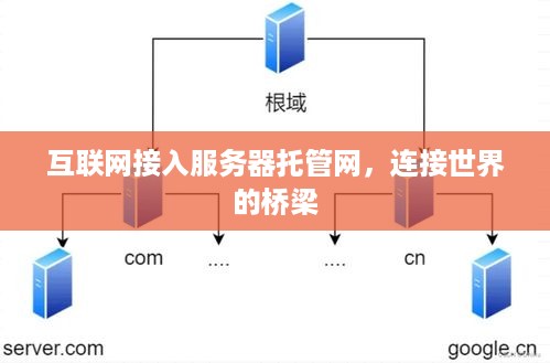 互联网接入服务器托管网，连接世界的桥梁