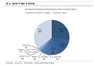 服务器托管租赁业务的前景与挑战，一篇全面的分析