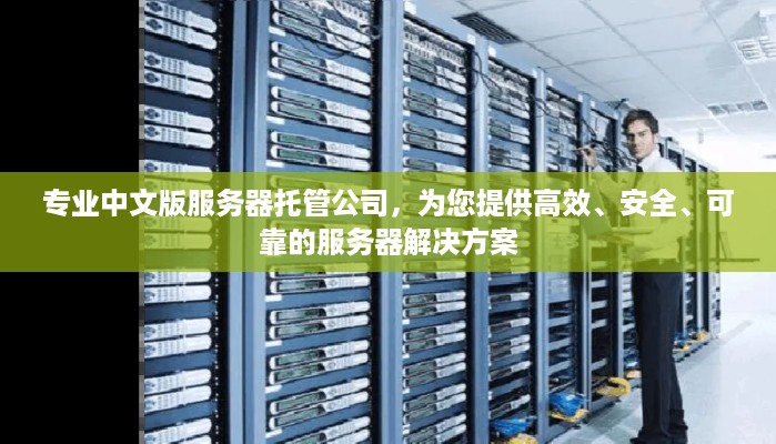 专业中文版服务器托管公司，为您提供高效、安全、可靠的服务器解决方案