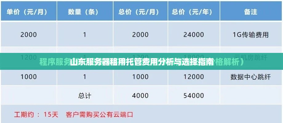 山东服务器租用托管费用分析与选择指南