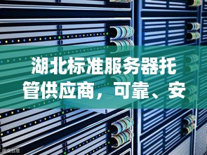 湖北标准服务器托管供应商，可靠、安全的IT解决方案