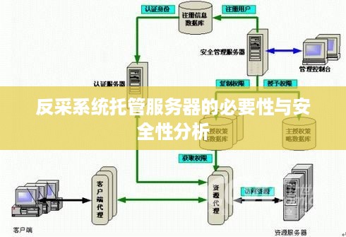 反采系统托管服务器的必要性与安全性分析