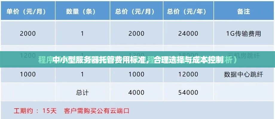 中小型服务器托管费用标准，合理选择与成本控制