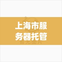 上海市服务器托管与租用，选择合适的解决方案助力企业业务发展