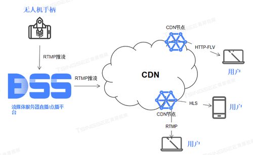 构建可靠网络环境，互联网专线服务器托管方案全面解析