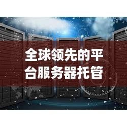 全球领先的平台服务器托管公司一览