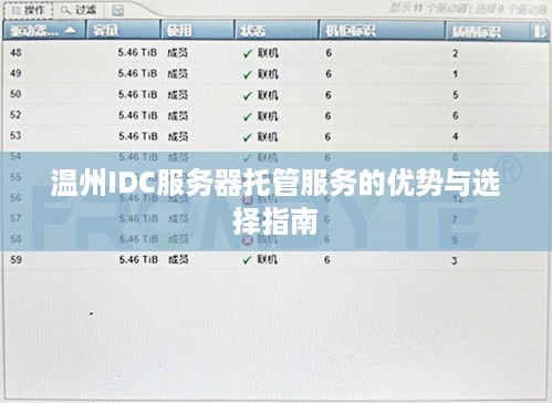 温州IDC服务器托管服务的优势与选择指南