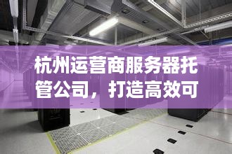 杭州运营商服务器托管公司，打造高效可靠的数据中心解决方案