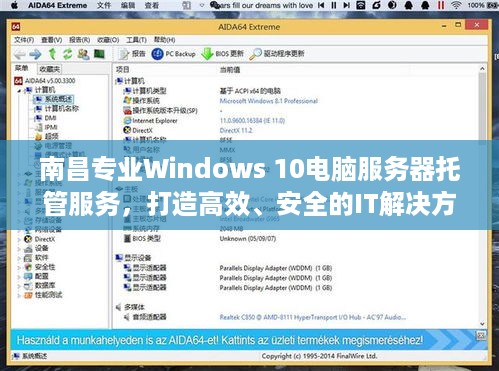 南昌专业Windows 10电脑服务器托管服务，打造高效、安全的IT解决方案