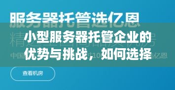 小型服务器托管企业的优势与挑战，如何选择合适的托管服务提供商？