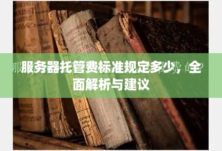 服务器托管费标准规定多少，全面解析与建议