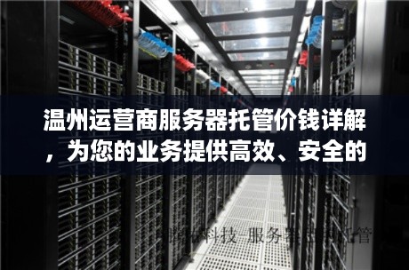 温州运营商服务器托管价钱详解，为您的业务提供高效、安全的IT解决方案