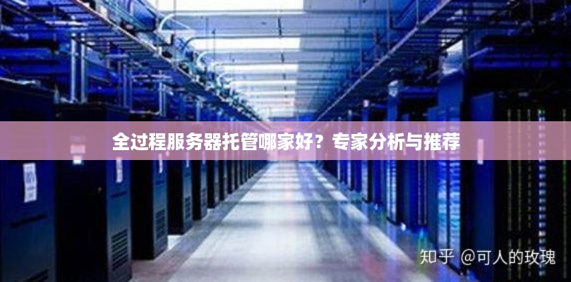 全过程服务器托管哪家好？专家分析与推荐