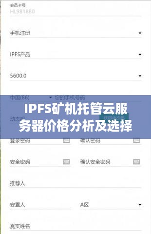 IPFS矿机托管云服务器价格分析及选择攻略