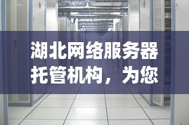 湖北网络服务器托管机构，为您提供稳定、可靠的服务器托管服务