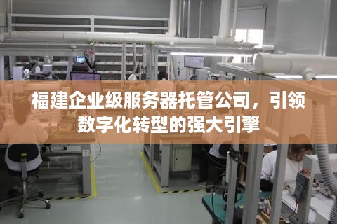 福建企业级服务器托管公司，引领数字化转型的强大引擎