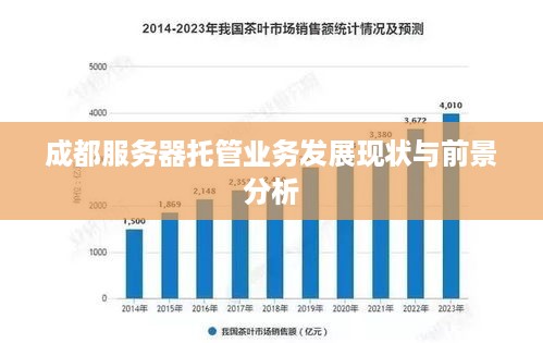 成都服务器托管业务发展现状与前景分析