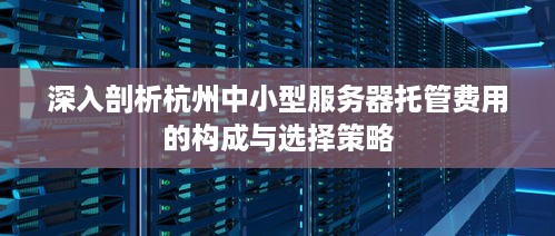 深入剖析杭州中小型服务器托管费用的构成与选择策略