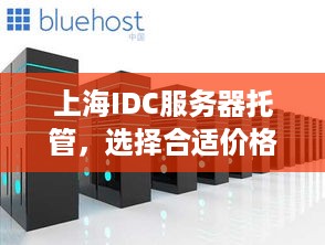 上海IDC服务器托管，选择合适价格的关键因素与参考价