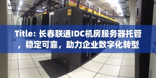 Title: 长春联通IDC机房服务器托管，稳定可靠，助力企业数字化转型