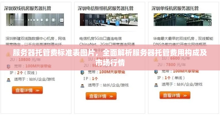 服务器托管费标准表图片，全面解析服务器托管费用构成及市场行情