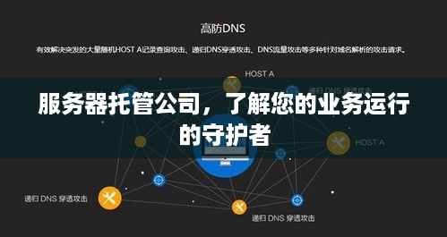 服务器托管公司，了解您的业务运行的守护者