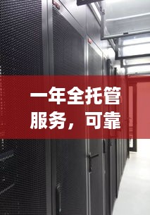 一年全托管服务，可靠、高效且经济的服务器解决方案