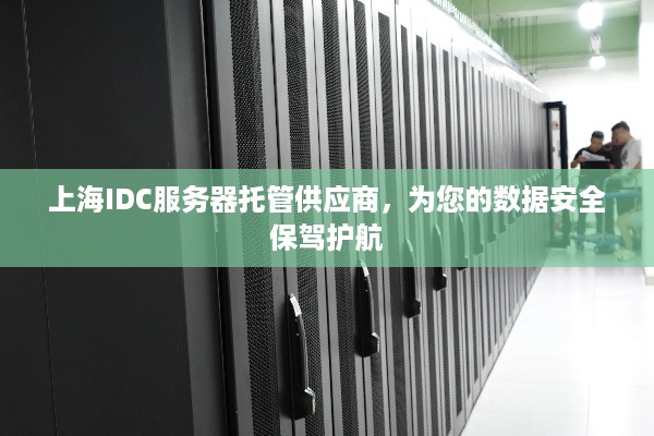 上海IDC服务器托管供应商，为您的数据安全保驾护航