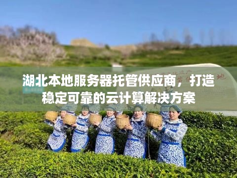 湖北本地服务器托管供应商，打造稳定可靠的云计算解决方案