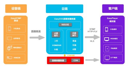 浙江流媒体服务器托管公司的崛起与发展