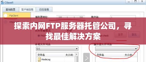探索内网FTP服务器托管公司，寻找最佳解决方案