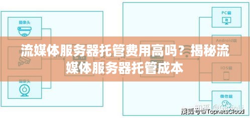 流媒体服务器托管费用高吗？揭秘流媒体服务器托管成本