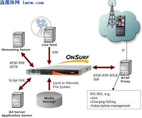 流媒体服务器托管费用高吗？揭秘流媒体服务器托管成本