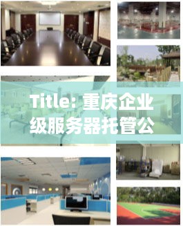 Title: 重庆企业级服务器托管公司，打造高效稳定的企业IT基础设施