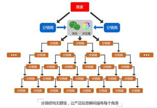 双线保障，稳定运行1U服务器托管青岛，为您的数据安全保驾护航