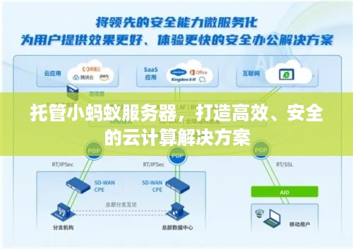 托管小蚂蚁服务器，打造高效、安全的云计算解决方案