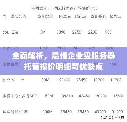 全面解析，温州企业级服务器托管报价明细与优缺点